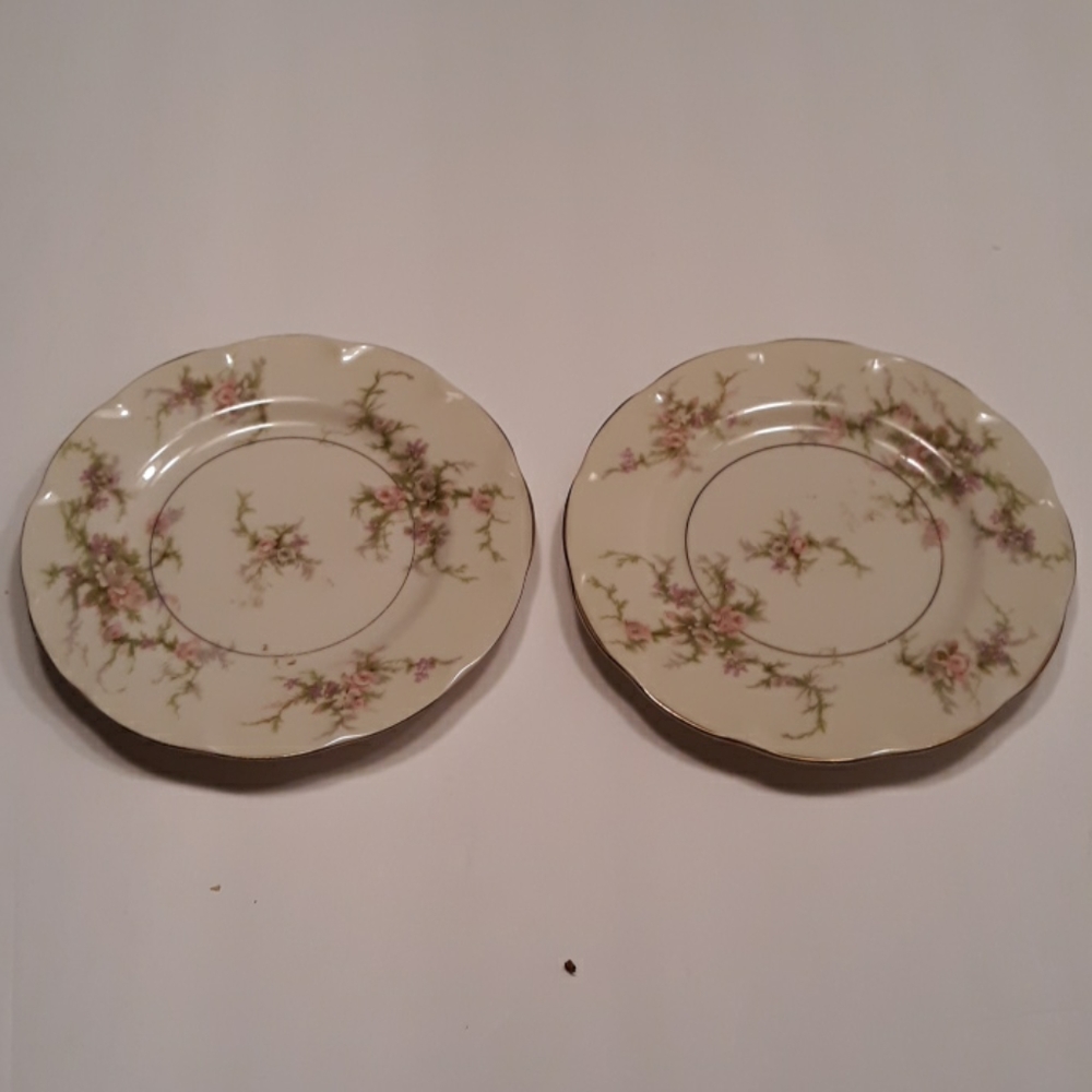 Set two Theodore Haviland N.Y.  Rosalinde plates